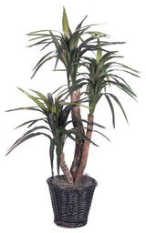 Vickerman 4' Artificial Marginata Extra Full Bush, Rattan Basket
