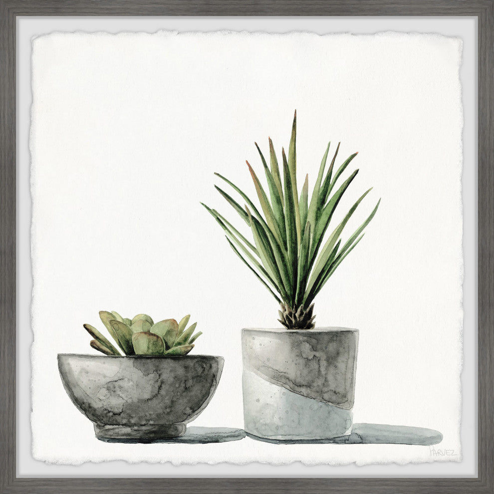 "Spiky Succulent" Framed Painting Print