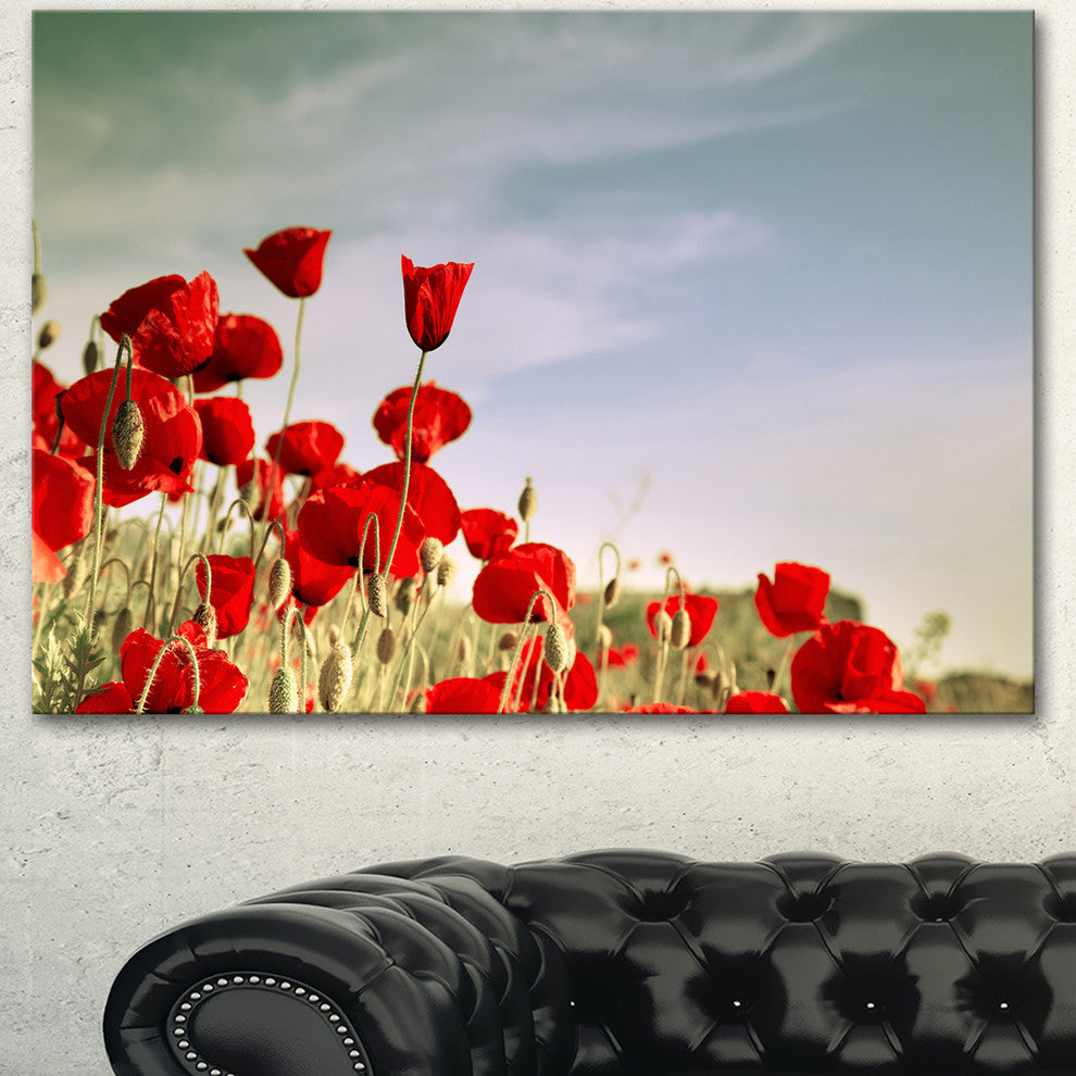 Flourishing Red Poppies, Floral Canvas Art Print, 40"x30"