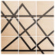 Deny Designs Vy La White and Black Lines Wood Wall Mural, 4'x4'