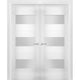 Interior French Double Doors Opaque Glass / Sete 6003 White Silk /48x84