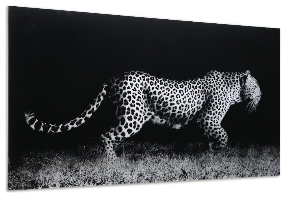Fearless 1 Frameless Free Floating Tempered Art Glass Wall Art, 24"x 48"