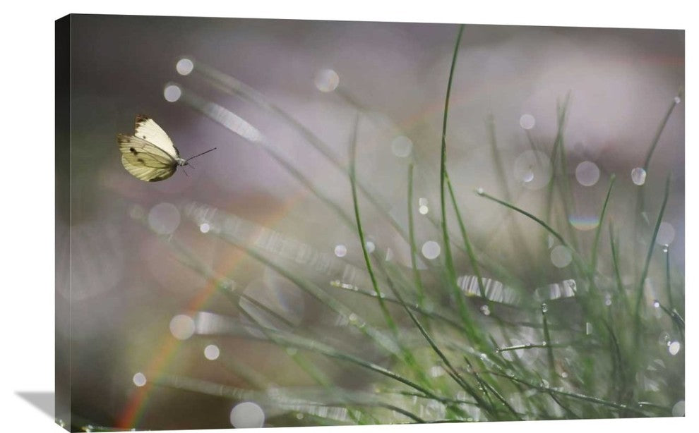 "Imminent Landing" Stretched Canvas Giclee by Anna Cseresnjes, 36x24"