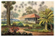 "Rasthaus von Belligemma Sï¿½dkï¿½ste von Ceylon" Print by Ernst Haeckel, 20"x14"