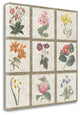 "Monument Etching Tile Flowers Square II" By Wild Apple, Gallery Wrap Canvas