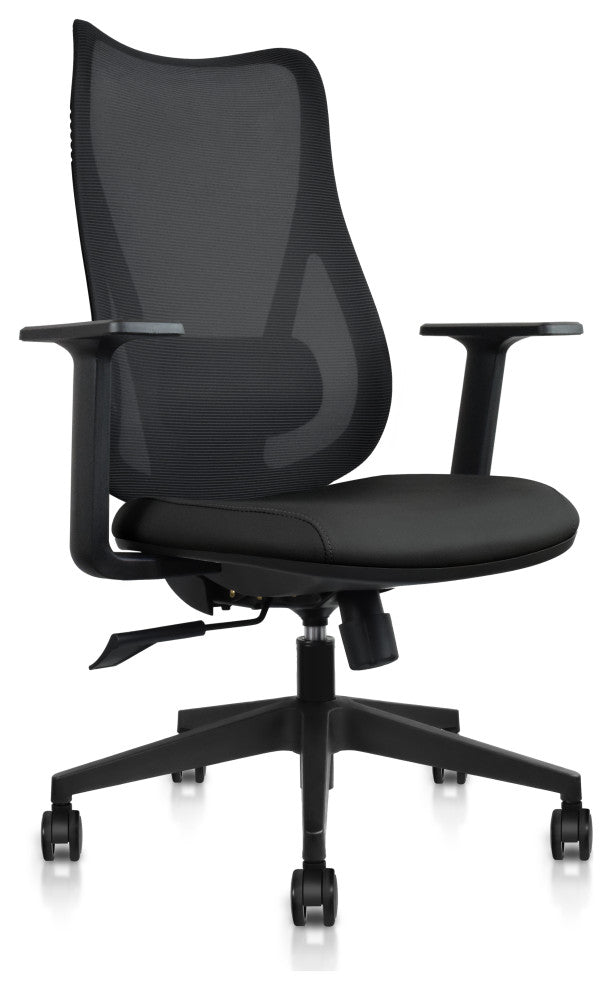 Ergonomic Office Desk Chair With Adjustable Lumbar High Mesh Back, Black