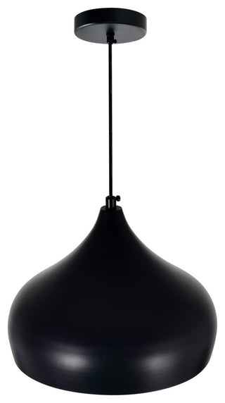 Dynamic 1 Light Down Pendant With Black Finish