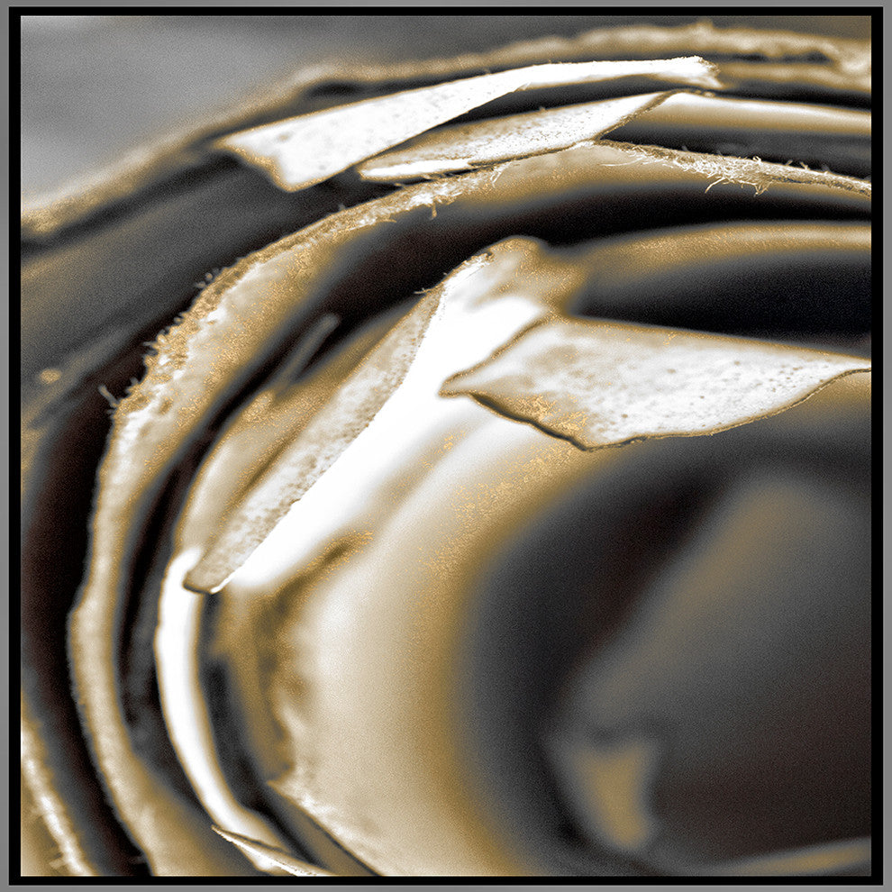 "Aged Parchment" Canvas, 30"x30"