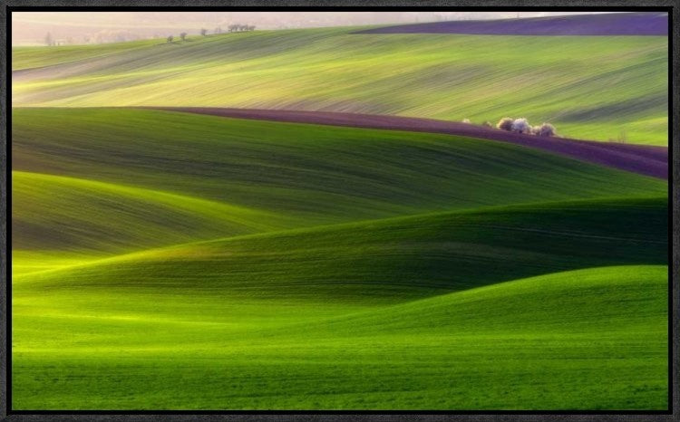 "Verdant Land" Framed Canvas Giclee by Piotr (Bax) Krol, 23x14"