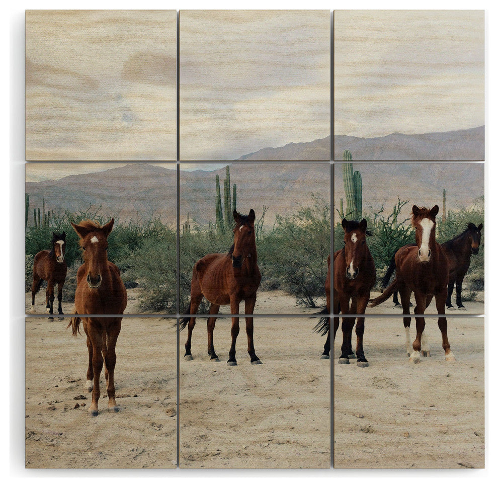 Kevin Russ Baha De Los Ngeles Wild Horses Wood Wall Mural