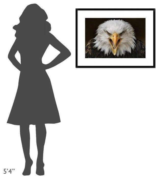 "Fierce" Framed Digital Print by Jimmy Hoffman, 32x24"