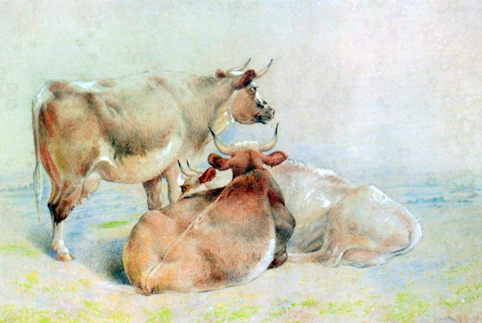 William Huggins Cattle Resting , 18"x27" Wall Decal