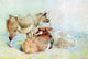 William Huggins Cattle Resting , 18"x27" Wall Decal
