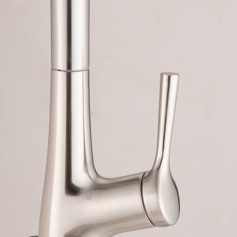 Single Handle Pull Down Kitchen Sink Faucet, Brushed Nickel