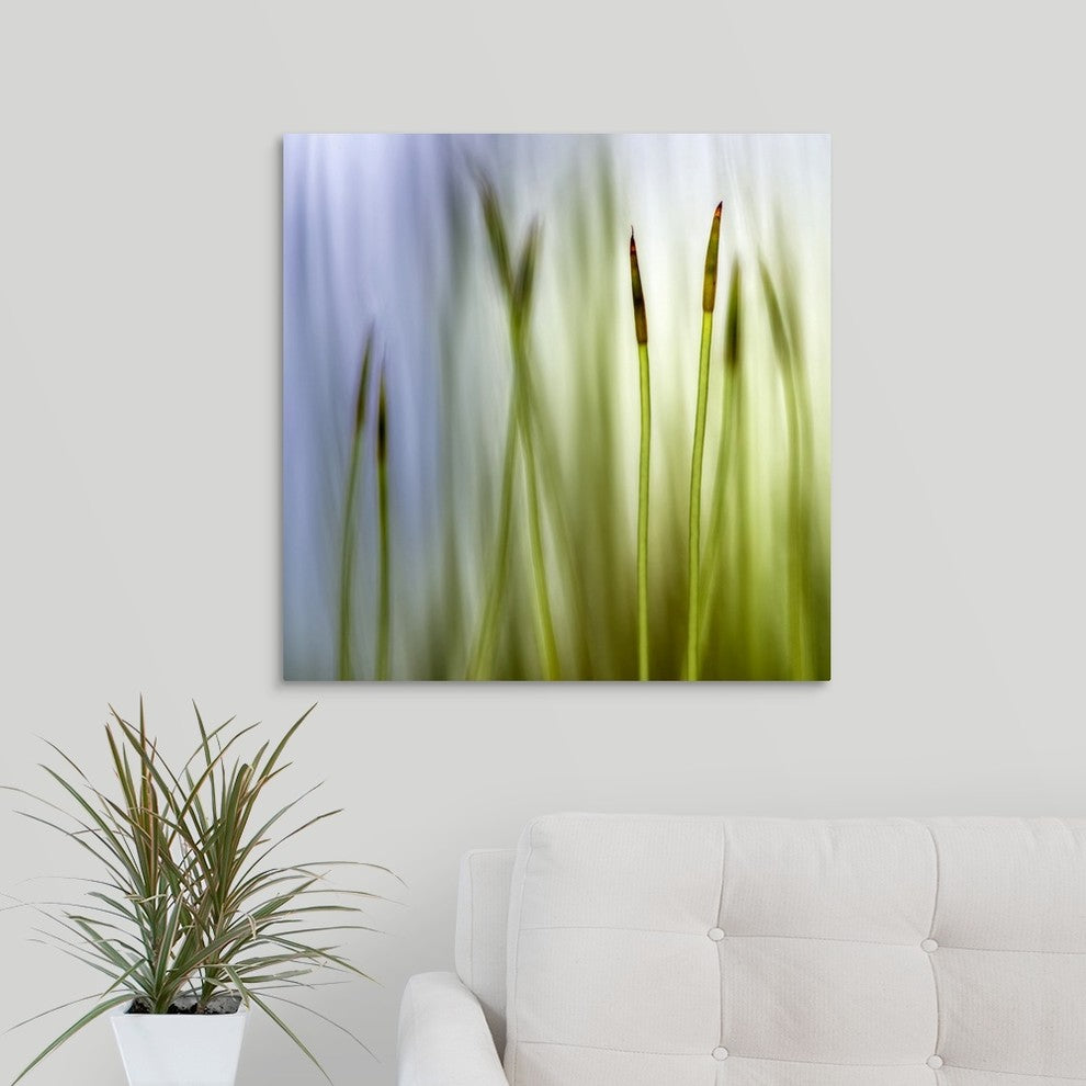 "Moss" Wrapped Canvas Art Print, 24"x24"x1.5"