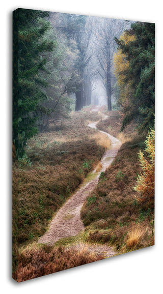 Cora Niele 'Hiking Trail' Canvas Art