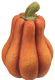 12" Fall Harvest Pumpkin Thanksgiving or Halloween Decor