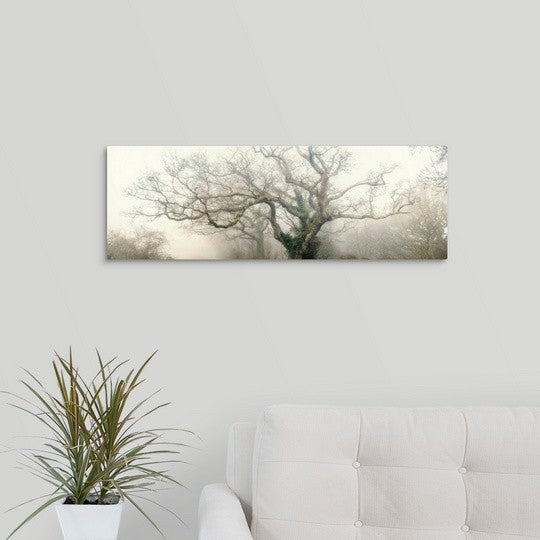 "panoramic octopus ghost oak" Wrapped Canvas Art Print, 30"x10"x1.5"