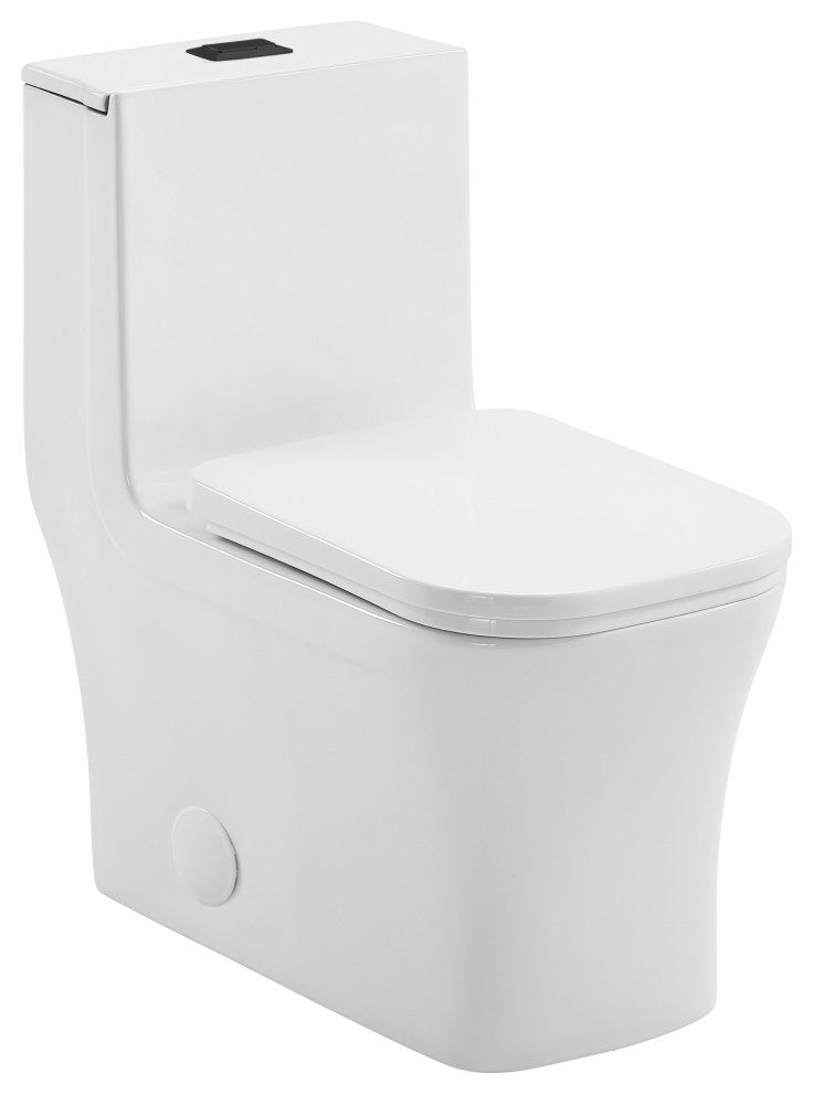 Concorde 1-Piece Square Toilet Dual Flush, Black Hardware 1.1/1.6 gpf