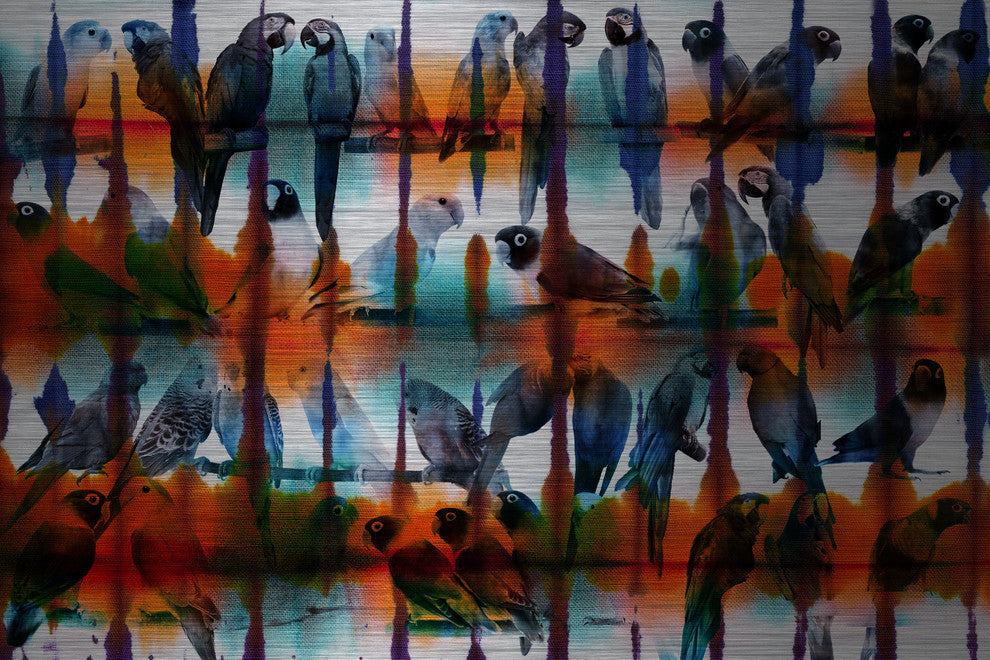 "Secret Wings" UV Ink Print on Brushed  Aluminum, 36"x24"