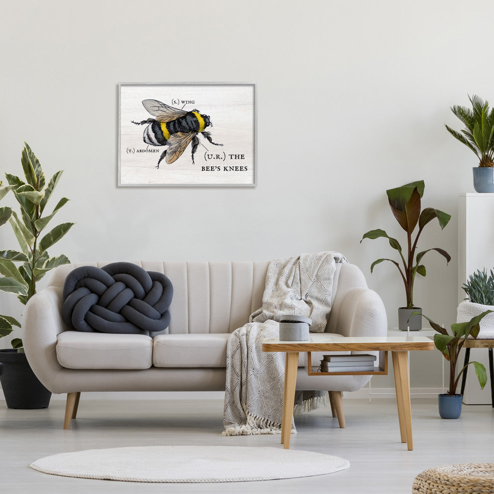 Anatomy of Honey Bee Pun Charming Bee's Knees, 30 x 24