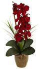 Phalaenopsis Orchid Silk Arrangement, Ceramic Vase, Red