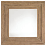 Spyglass Mirror