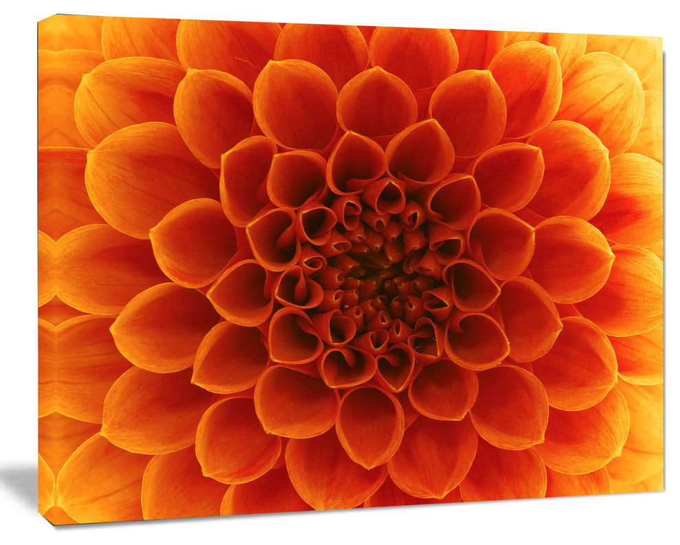 Large Dark Yellow Flower and Petals, Floral Canvas Art Print, 20"x12"