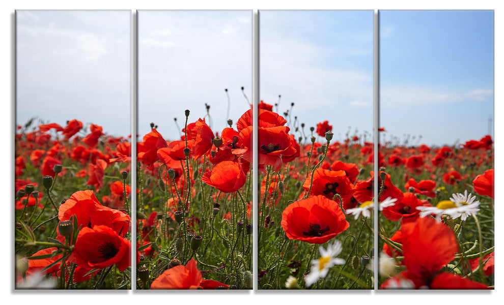 Red Poppies under Bright Blue Sky, Flower Artwork on Canvas, 48"x28", 4 Panels