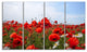 Red Poppies under Bright Blue Sky, Flower Artwork on Canvas, 48"x28", 4 Panels