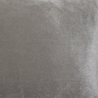Pillow Decor - Corona Velvet Throw Pillow, Silver, 16"x16"