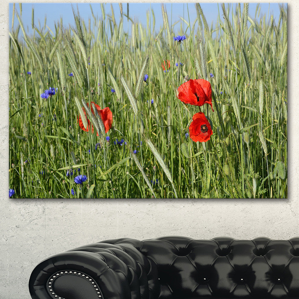 Rural Landscape with Red Poppies, Large Landscape Canvas Art, 40"x30"