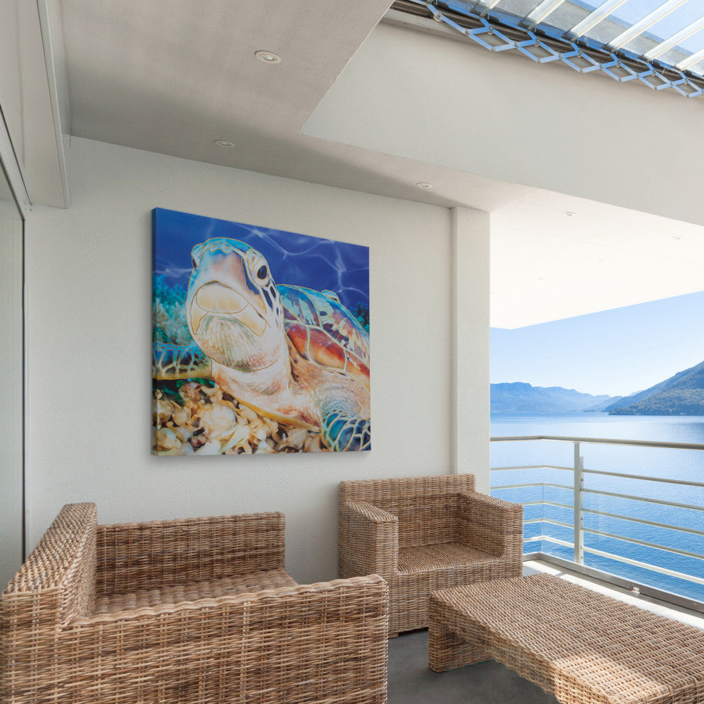 American Art Decor Sea Turtle Outdoor Canvas Art Print, 35"x35"