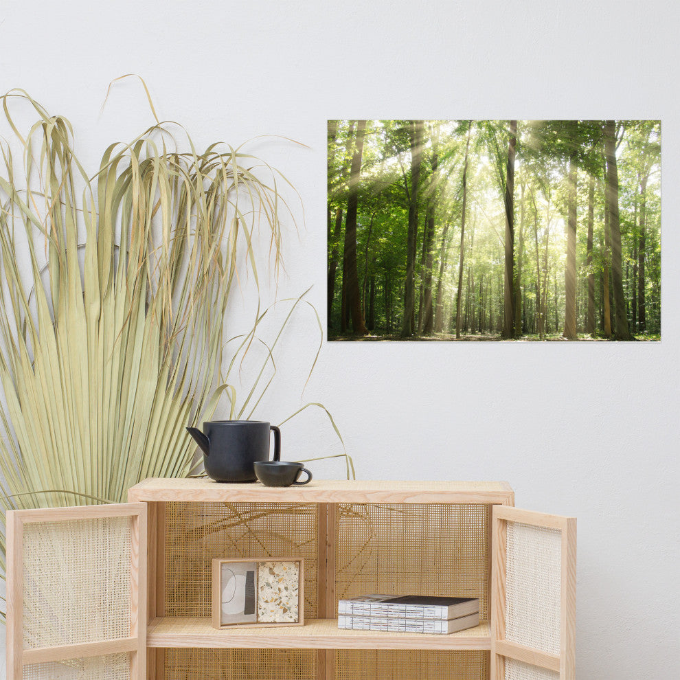 Sun Rays Through Treetops Landscape Photo Unframed Wall Art Print, 24" X 36"