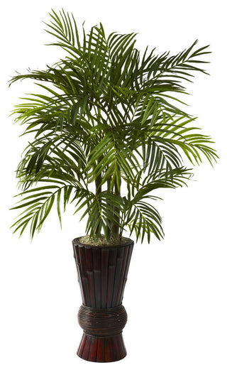 4" Areca With Bamboo Planter