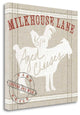 "Farm Linen Goat" By Sue Schlabach, Giclee Print on Gallery Wrap Canvas