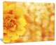 Beautiful Floral Yellow Background, Large Floral Canvas Artwork, 60"x28"