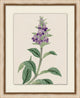 Prisma Floral 6, Giclee Reproduction Artwork
