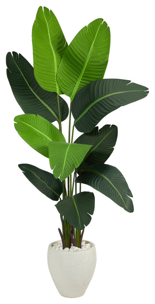 5.5' Travelers Palm Artificial Tree, White Planter
