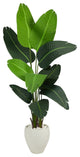 5.5' Travelers Palm Artificial Tree, White Planter