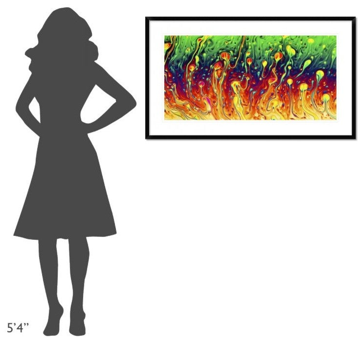 "Soap Opera" Framed Digital Print by Christophe Kiciak, 44x26"
