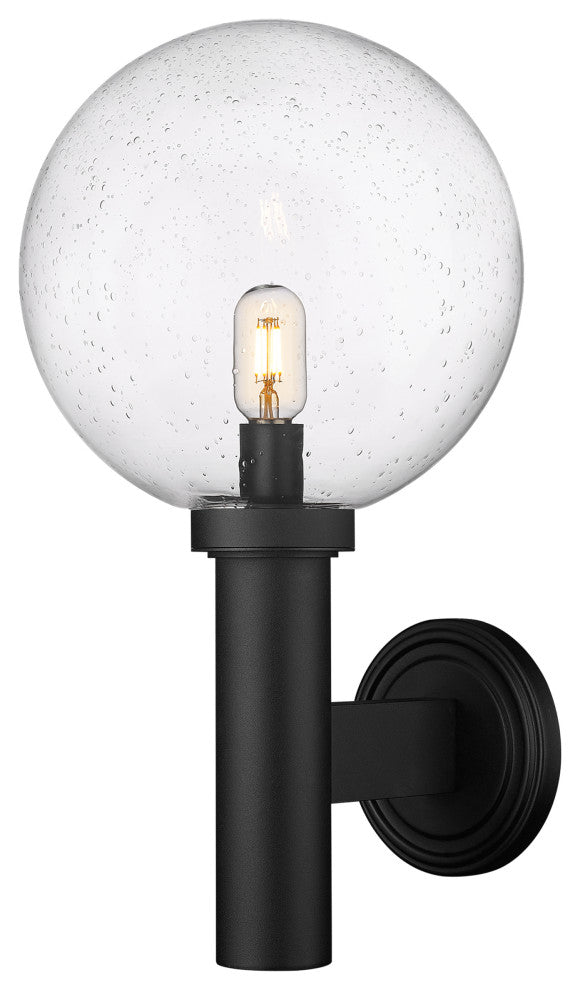 Zlite 599B-BK 1-Light Outdoor Wall Sconce, Clear Seedy