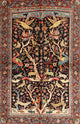 Ahgly Company Indoor Rectangle Traditional Area Rugs, 7' x 10'
