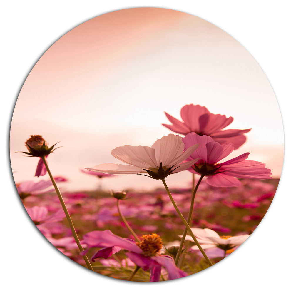 Meadow With Beautiful Cosmos Flowers, Floral Round Wall Art, 11"