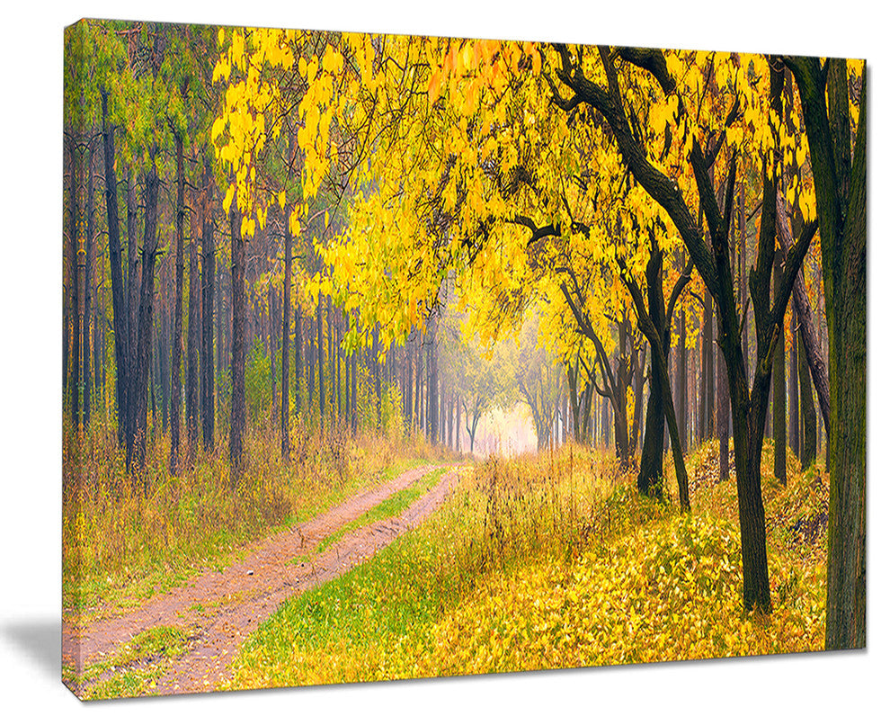 "Bright Yellow Autumn Forest" Landscape Photo Wall Art, 40"x30"