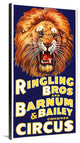 "Ringling Bros" Stretched Canvas Giclee by Hollywood Photo Archive, 21x40"
