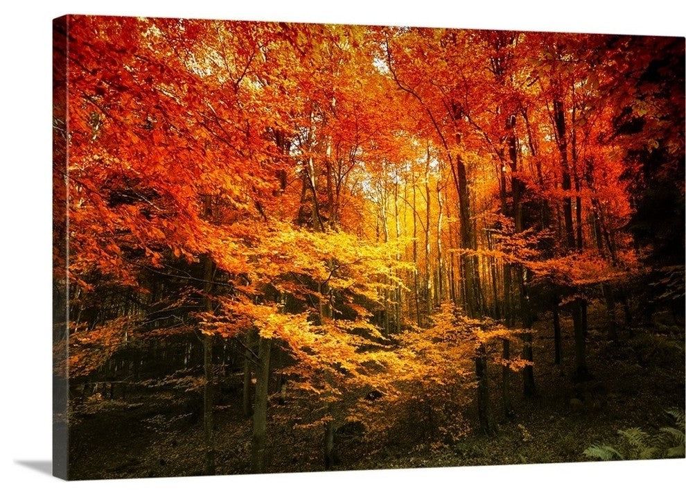 "Color Combination" Wrapped Canvas Art Print, 48"x32"x1.5"