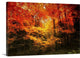 "Color Combination" Wrapped Canvas Art Print, 48"x32"x1.5"