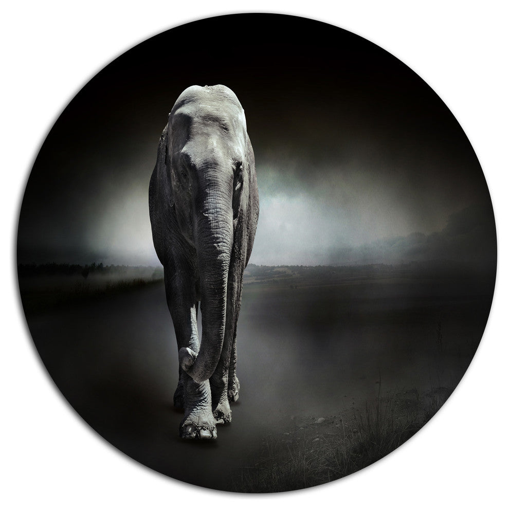 Elephant On Black, Animal Large Disc Metal Wall Art, 23"