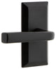 Ageless Iron Vale Plate Passage With Lance Lever, Black Iron